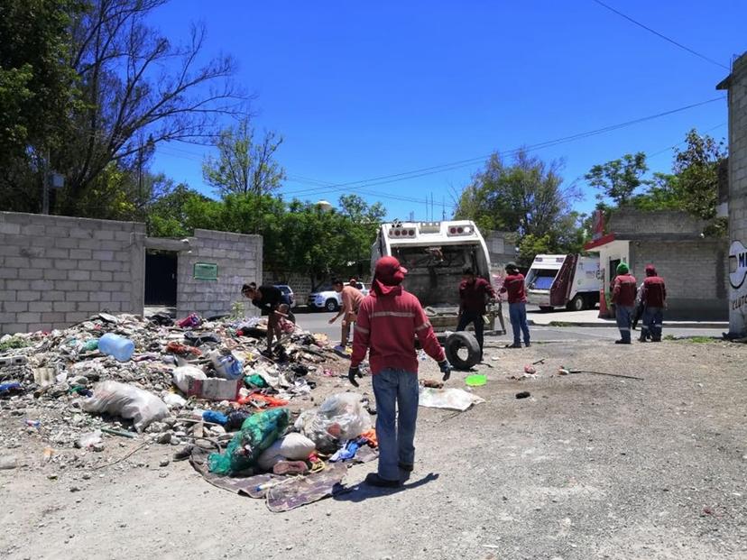 Desechan pedazos de aves y otros animales en predios de Tehuacán