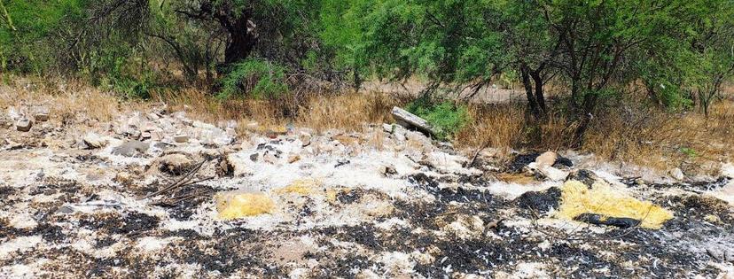 Reportan tiradero clandestino de restos de aves en Coxcatlán