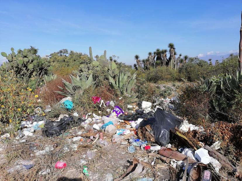 Detectan tres tiraderos clandestinos en la Reserva de la Biosfera 