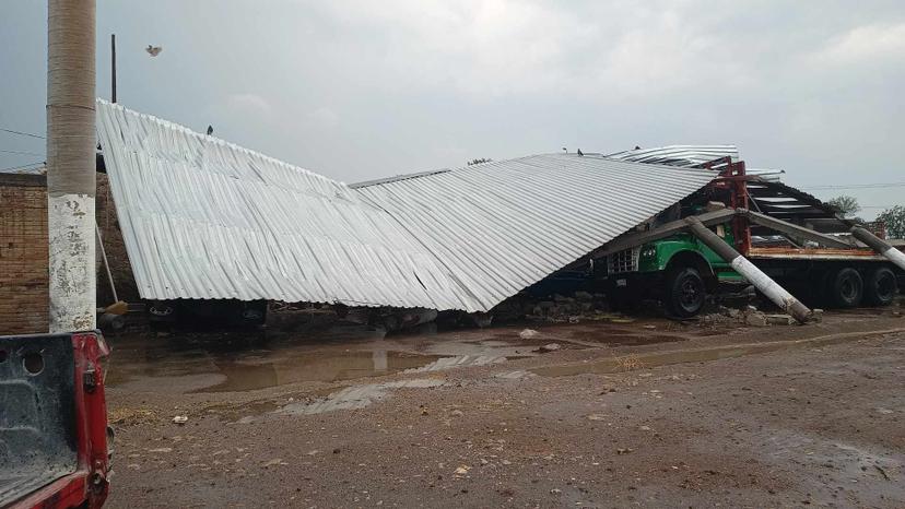 Daños materiales y ramas caídas tras primera lluvia en Tlacotepec de Juárez