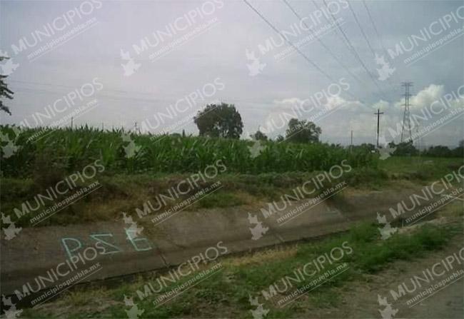 Hallan osamenta en terrenos de cultivo de Tochtepec