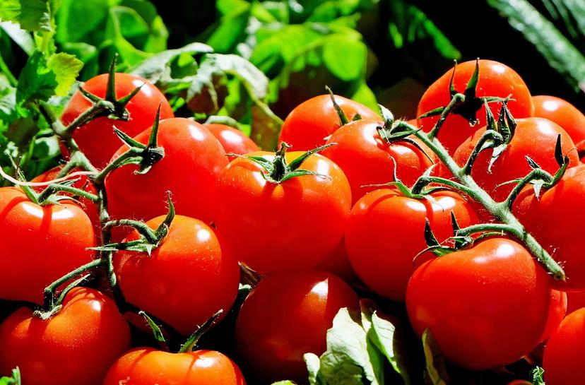 Va EU contra los tomates, le impondrá cuotas del 17.65%