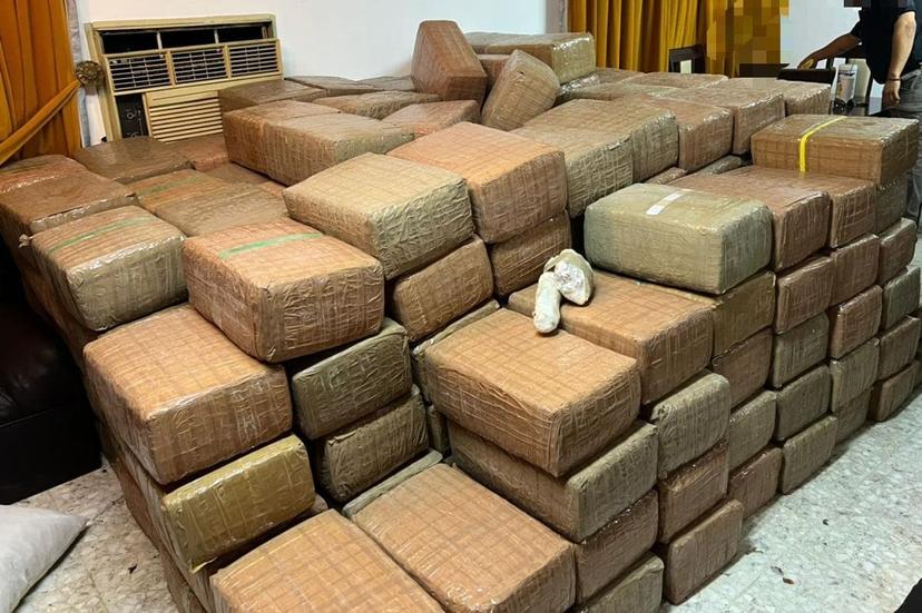 En cateo, detectan 1.2 toneladas de marihuana en Nuevo León