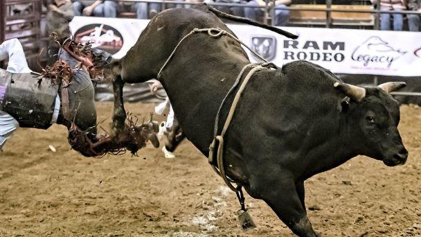 Toro embiste y mata a abuelito en jaripeo en Izúcar