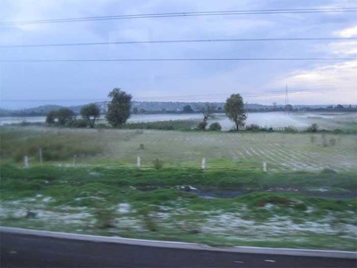 Desastre agrícola por granizada en cultivos de Huejotzingo