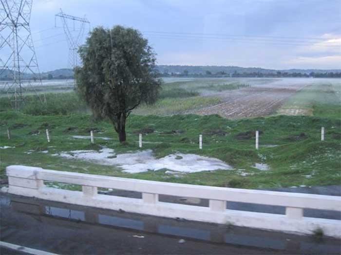 Desastre agrícola por granizada en cultivos de Huejotzingo