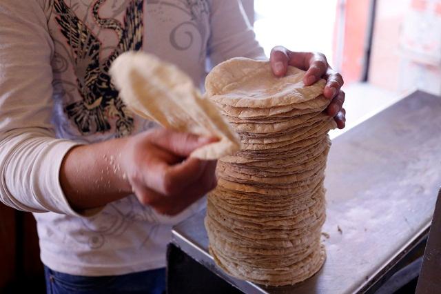 Profeco asegura que no hay justificación para subir el precio de tortilla