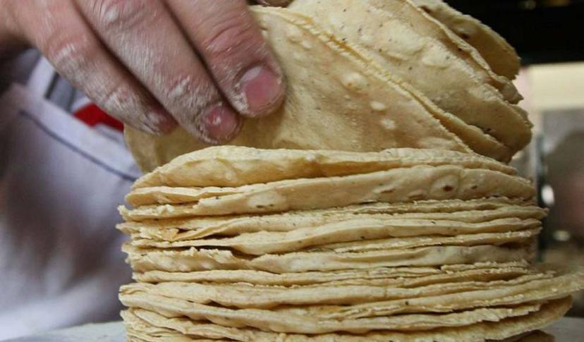 Exigen senadores a Profeco evite aumento desmedido de la tortilla