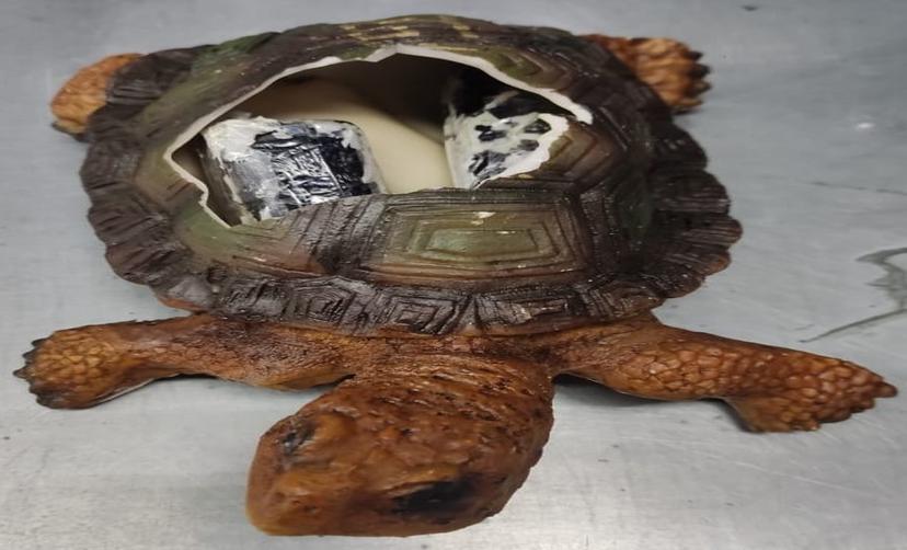 Aseguran cristal oculto en figuras de tortuga que serían exportadas a Tahití