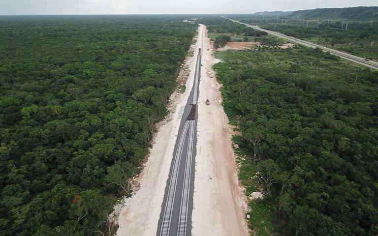 Reclaman diputadas a Semarnat tala de miles de árboles por Tren Maya