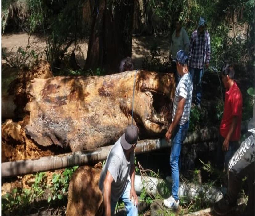 Lluvias dejan sin agua potable a pobladores de Chietla  