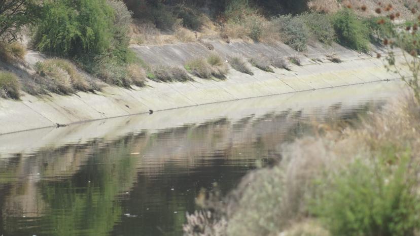 Hallan segundo cadáver en menos de 24 horas en aguas negras del Canal de Valsequillo