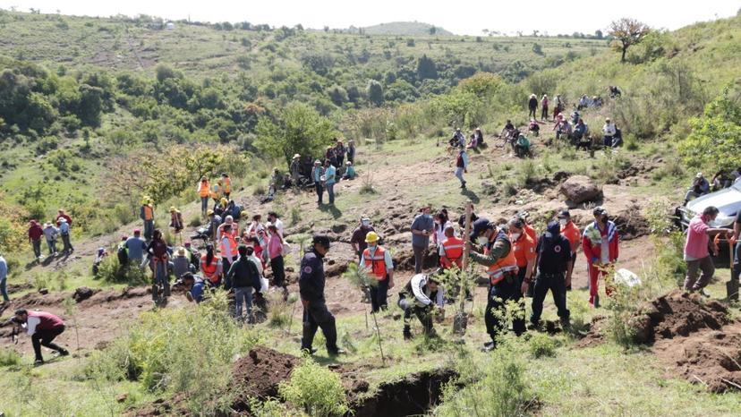 Reforestan cuenca verde entre Atlixco y San Juan Tianguismanalco