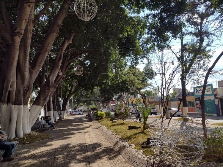 Stands en Valle iluminado de Tehuacán van de los 3 a los 15 mil pesos  