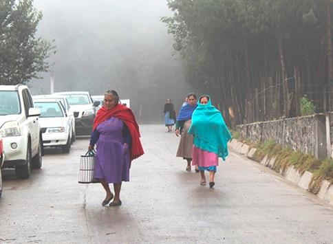 Preparan albergues ante bajas temperaturas en la Sierra Norte