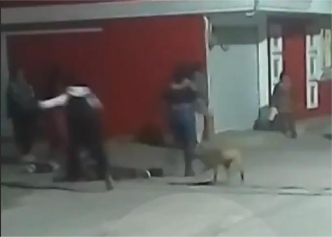 VIDEO Captan riña callejera de madrugada en El Verde