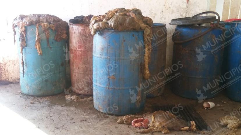 VIDEO: Así se produce la carne que consumes en Texmelucan