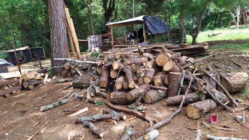 Pleito por tala en Huauchinango termina en comida con pollo y refresco