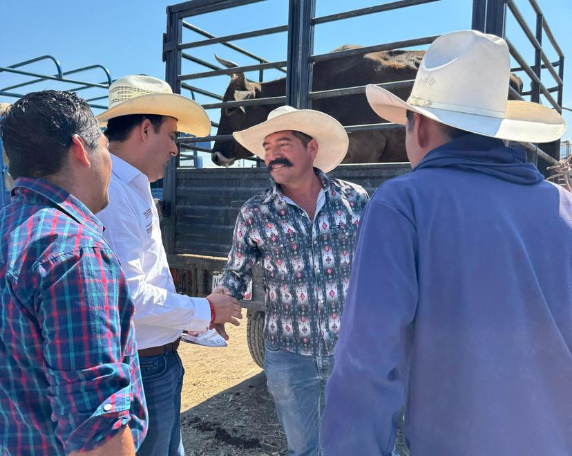 Respaldo a la ganadería en la mixteca poblana desde San Lázaro: Lalo Castillo