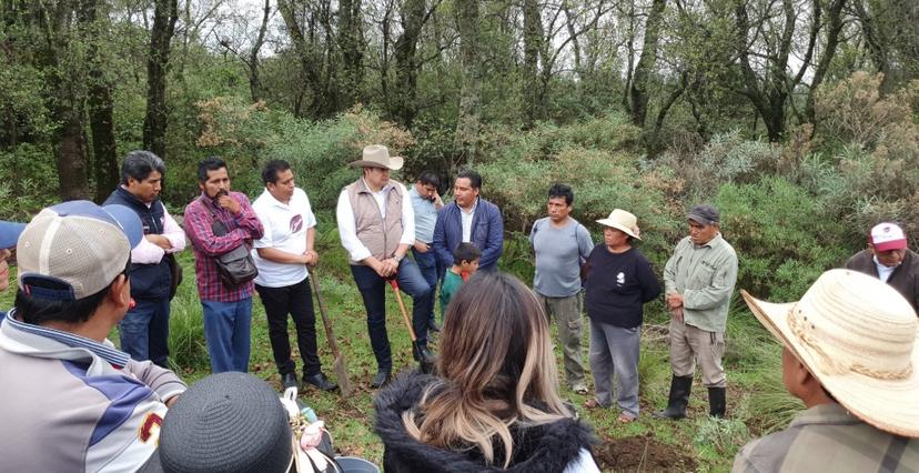 Armenta impulsa industrialización del Cáñamo para el crecimiento sostenible