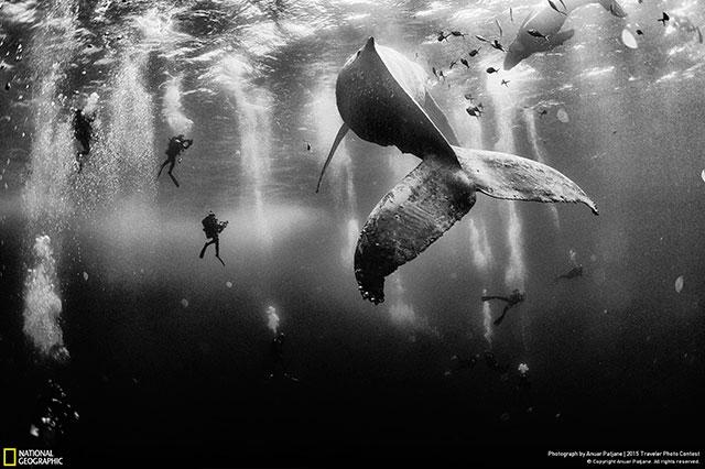 Fotógrafo de Tehuacán gana el National Geographic Traveler