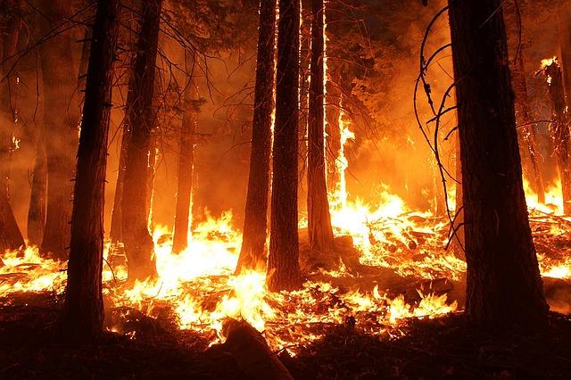 La NASA te muestra los incendios en México en tiempo real