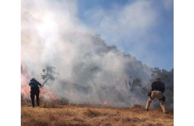 Incendio en cerro de Aljojuca alerta a vecinos y autoridades