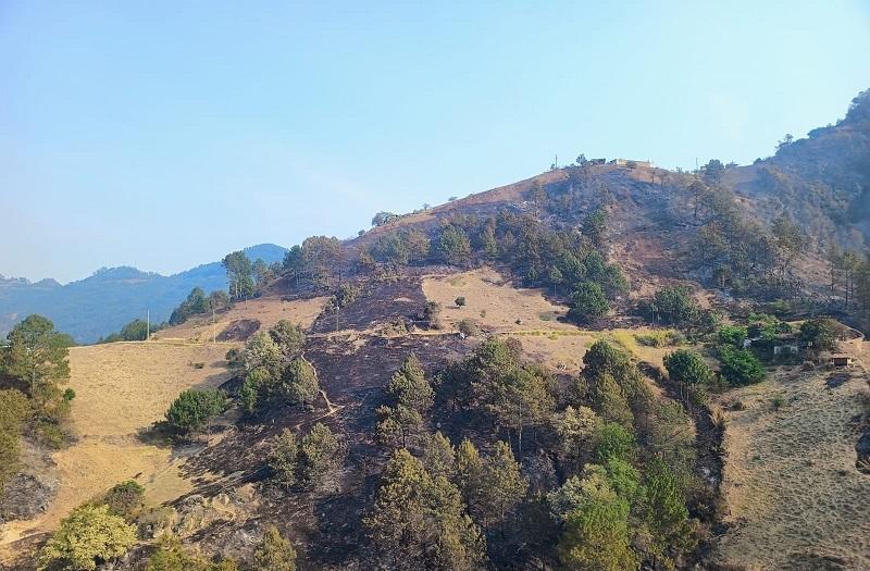 Incendio en Zacatlán dejó a dos apagafuegos con lesiones: Céspedes