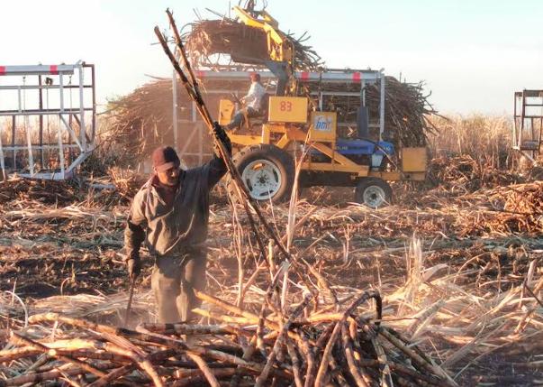 Zafra 2024-2025 en Atencingo podría concluir antes de lo programado