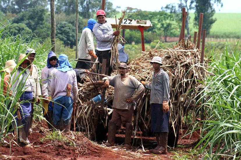 El próximo 16 de noviembre inicia la zafra 2020-2021 en Atencingo