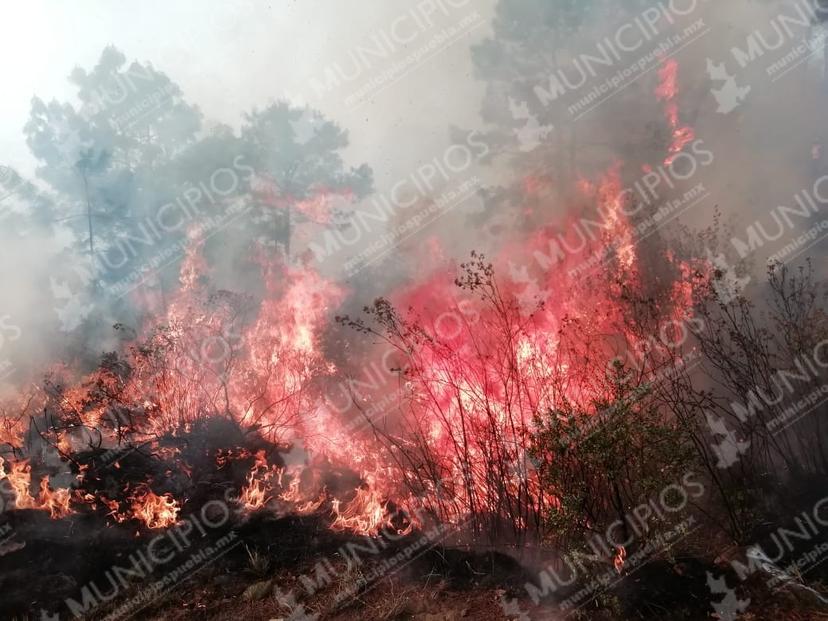 Por sofocar incendio en Zautla murió Armando Zaragoza