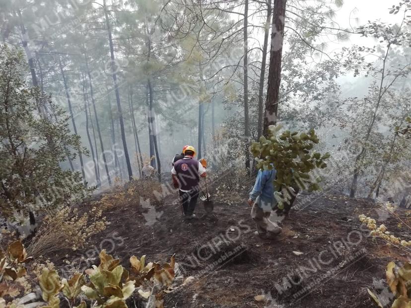 Por sofocar incendio en Zautla murió Armando Zaragoza