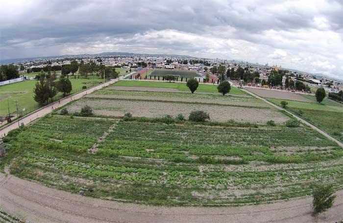 Macroparque crea incertidumbre en vendedores de zona arqueológica de Cholula