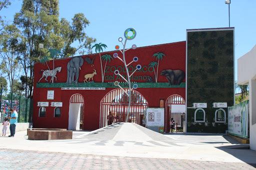 Leona ataca a empleada del zoológico del Altiplano