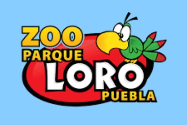 Vive la experiencia del Parque Loro, un zoológico diferente en Puebla