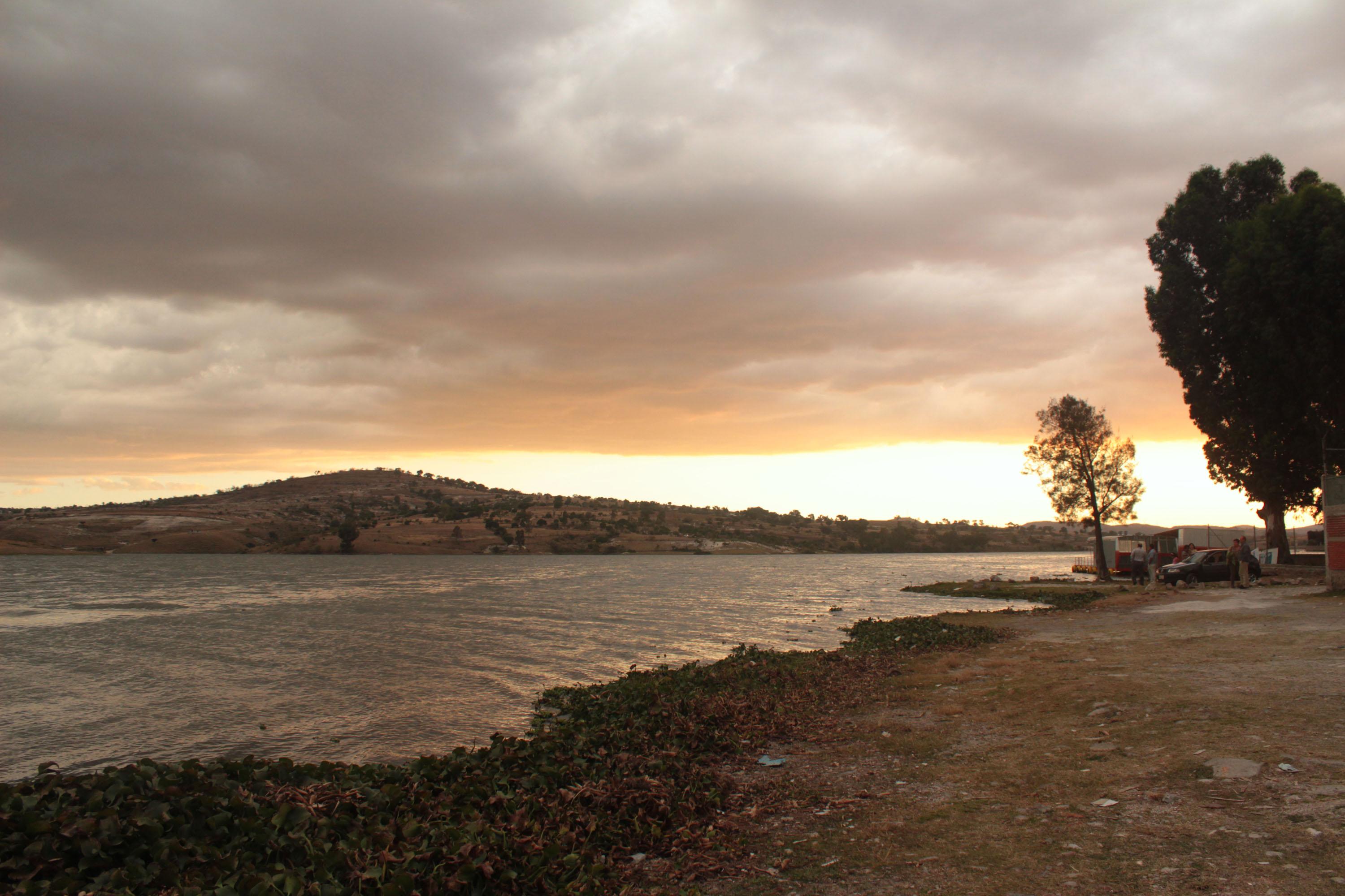 laguna 
