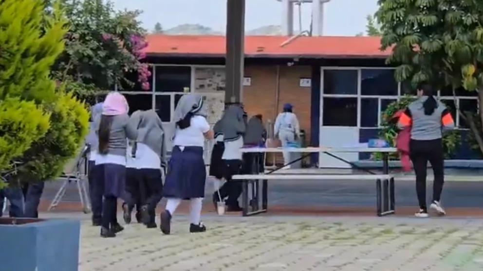 Estudiantes de una escuela primaria de Atlixco fueron atacados por abejas.