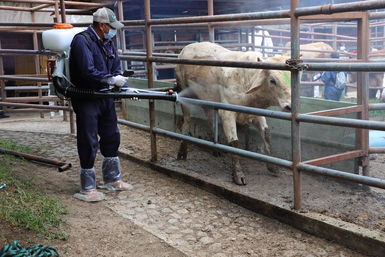El operativo de barrido conformado por seis brigadas en los municipios de la Sierra Negra y seis brigadas adicionales en la zona perifocal de Molcaxac.