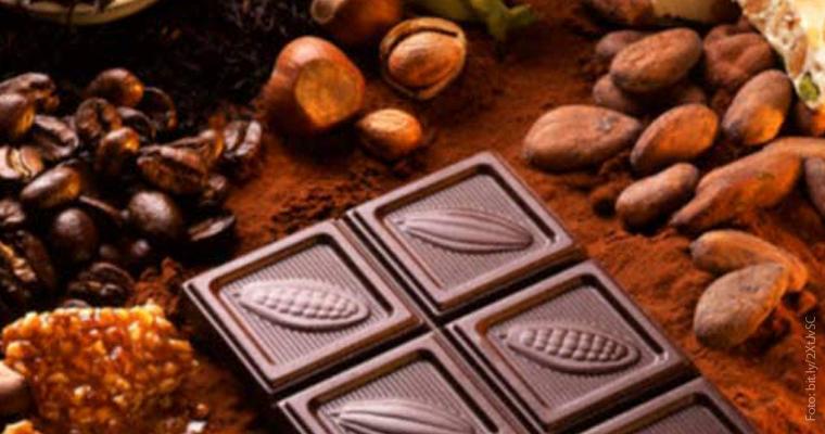 El cacao, domesticado y preparado como chocolate, es uno de los productos que Mesoamérica aportó al mundo.