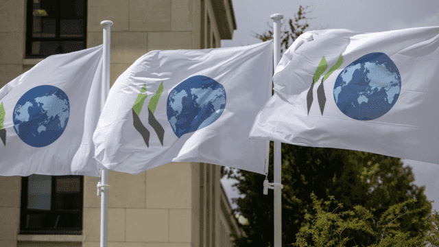 OCDE revisa al alza su pronóstico de crecimiento para el Producto Interno Bruto (PIB) de México.