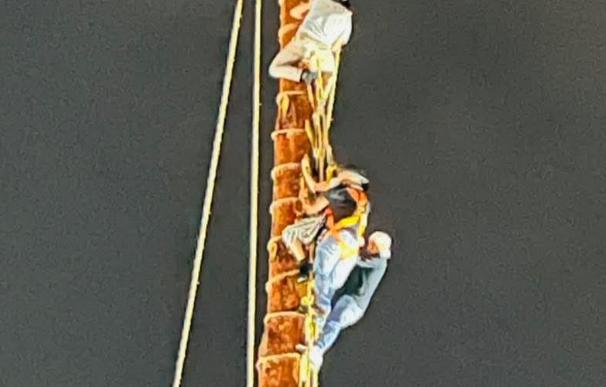 Voladores