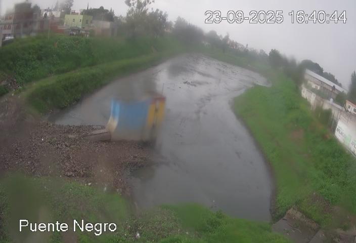 puente negro