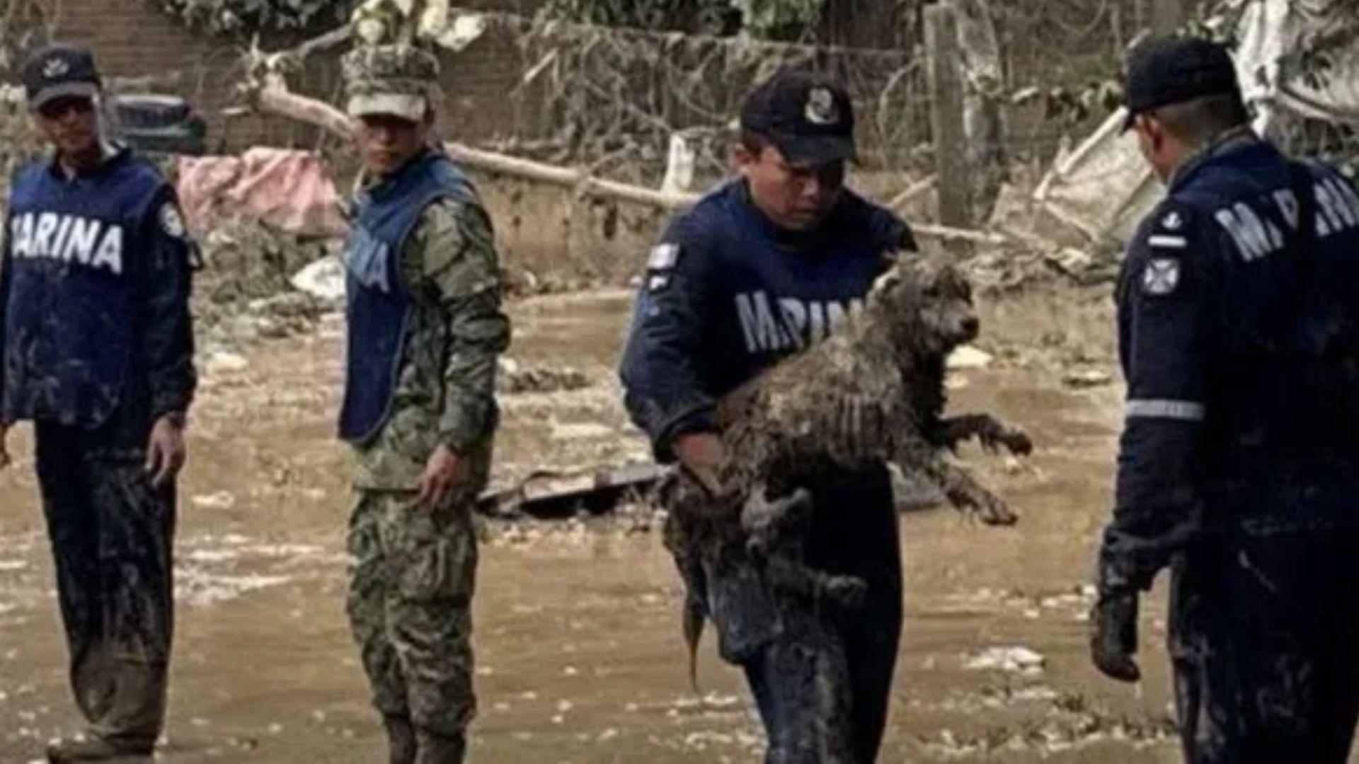 Por fuertes lluvias en Huauchinango, se habilito un refugio para mascotas y dueños