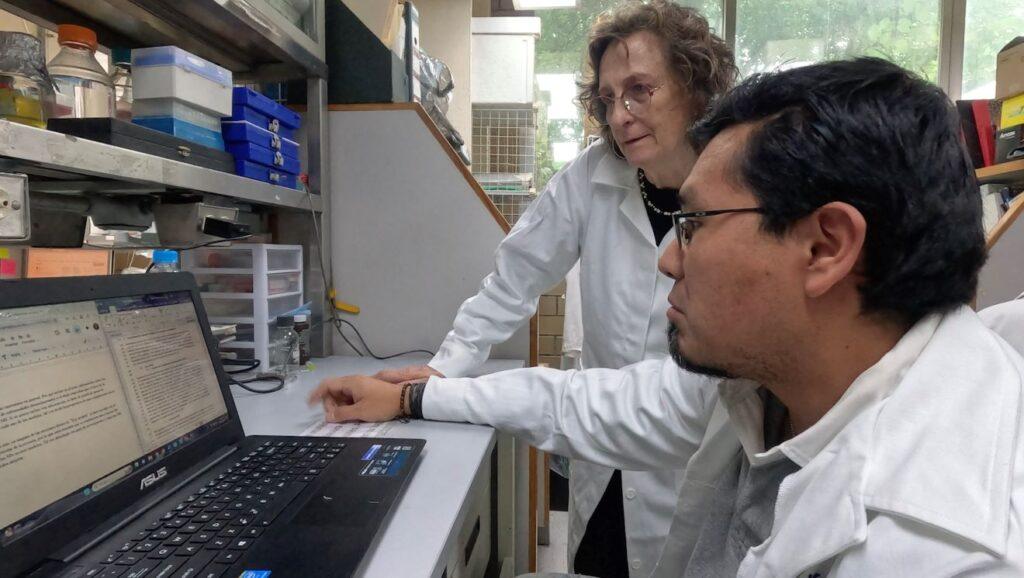 Se realizarán pruebas en pacientes en convenio con el INCAN.