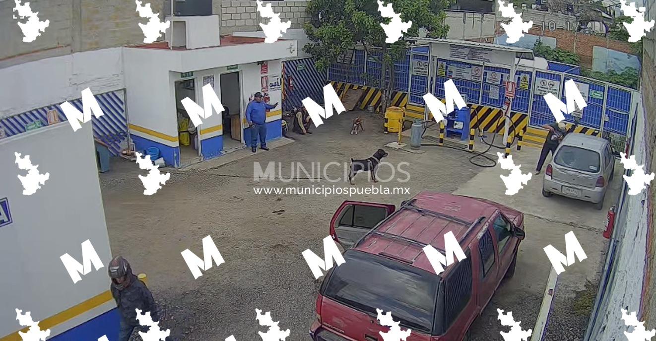 Cámara de seguridad capta el momento en el que dos sujetos asaltaron una gasera.