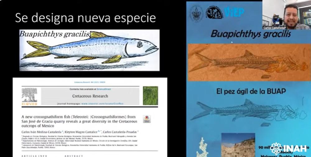 BUAP