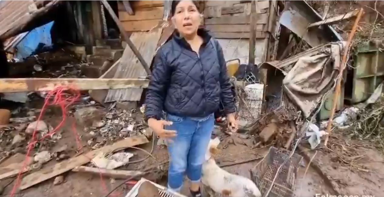 Maricarmen Zaragoza ayuda a los animalitos desaparecidos por las lluvias en Huauchinango.