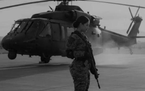 guardia