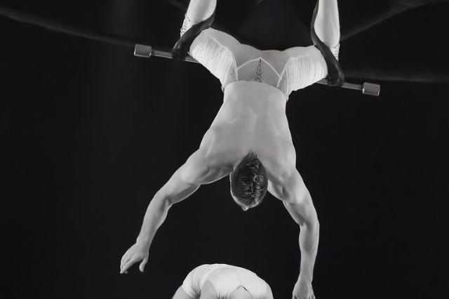 trapecista