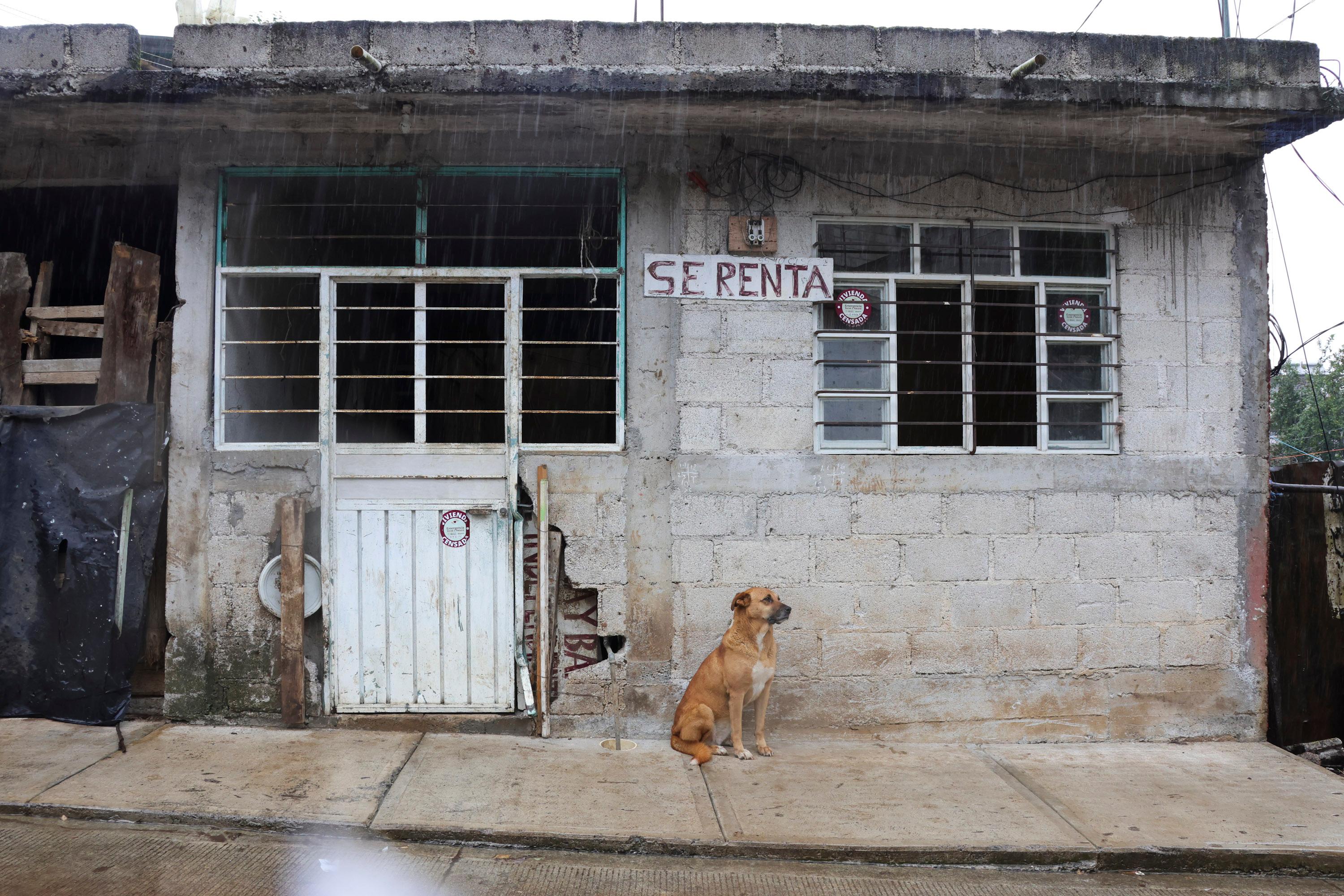 Prevalecerá un canal de baja presión que, en interacción con otros sistemas meteorológicos, ocasionará lluvias.